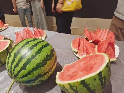 吃瓜专家,吃瓜专家带你领略明星幕后故事