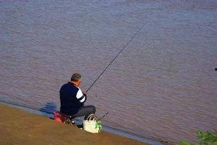 娱乐吃瓜钓鱼视频大全下载,一键下载收藏！