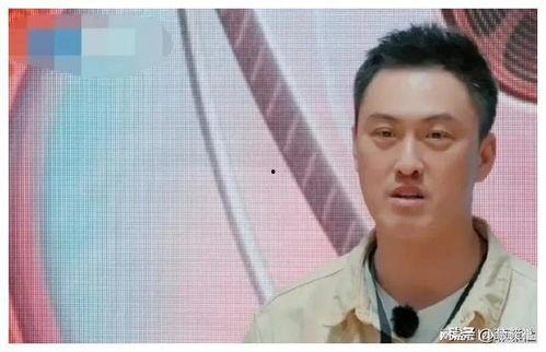 娱乐圈吃瓜爆料小说推文,揭秘明星背后的秘密与真相