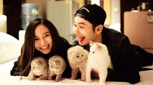 娱乐圈的吃瓜影帝梧桐落,娱乐圈吃瓜影帝的幕后故事